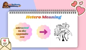 Hetero Meaning