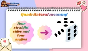 Quadrilateral meaning