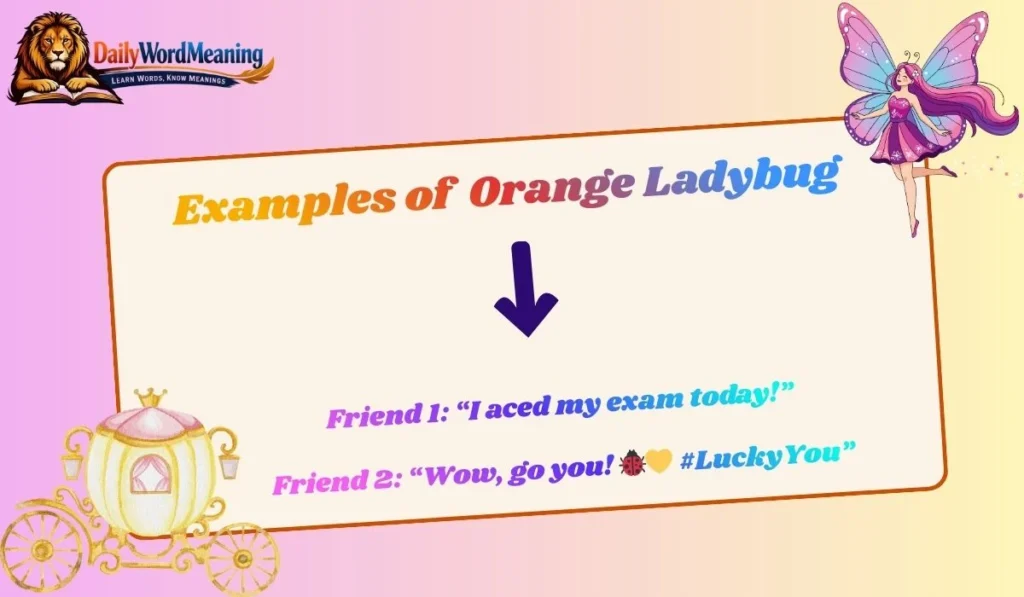 Examples of Orange Ladybug