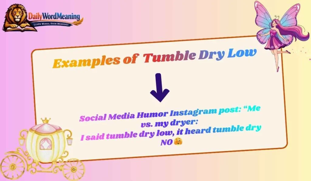 Examples of Tumble Dry Low