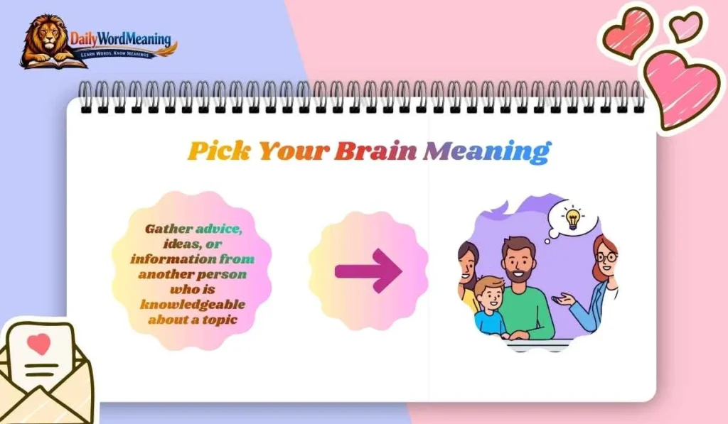 Pick Your Brain Meaning