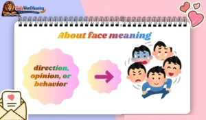 About face meaning