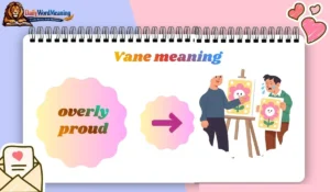 Vane meaning